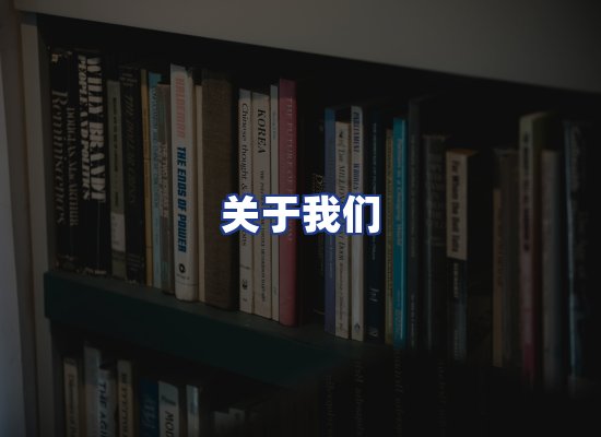专业团队